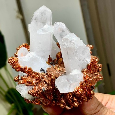 366G Rare!! iridescent Native Copper crystal mineral specimen