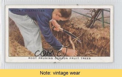 1938 Wills Garden Hints Tobacco Root Pruning Cordon Fruit Trees #39 READ 0a1