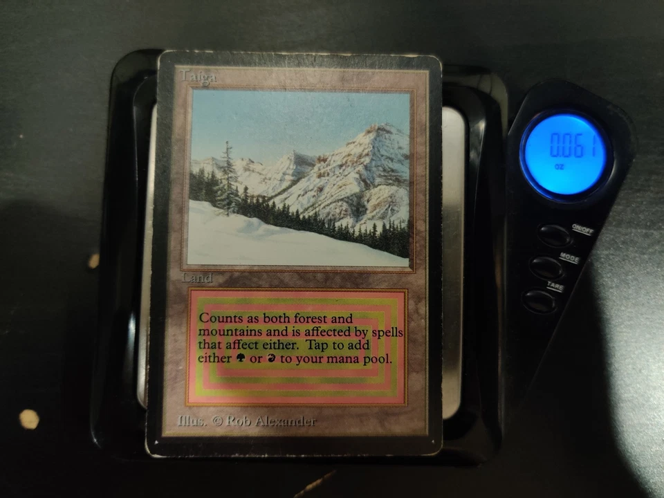 Beta Taiga DMG-HP x1 MTG Magic: the Gathering - Image 3 of 4