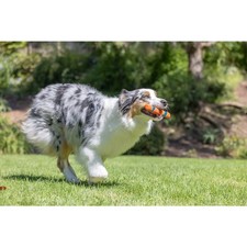 Chuckit Ultra Fetch Stick Durable Rubber Interactive Outdoor Fetch Dog Toy