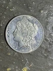 1879 Morgan Silver Dollar