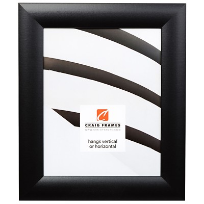 Craig Frames Premium 1.6'' Wide Modern Satin Black Picture Frames & Poster Frames