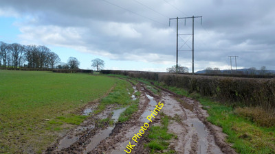 Photo 6x4 Wet field edge Almeley Wooton Reflecting the recent rains of th c2016