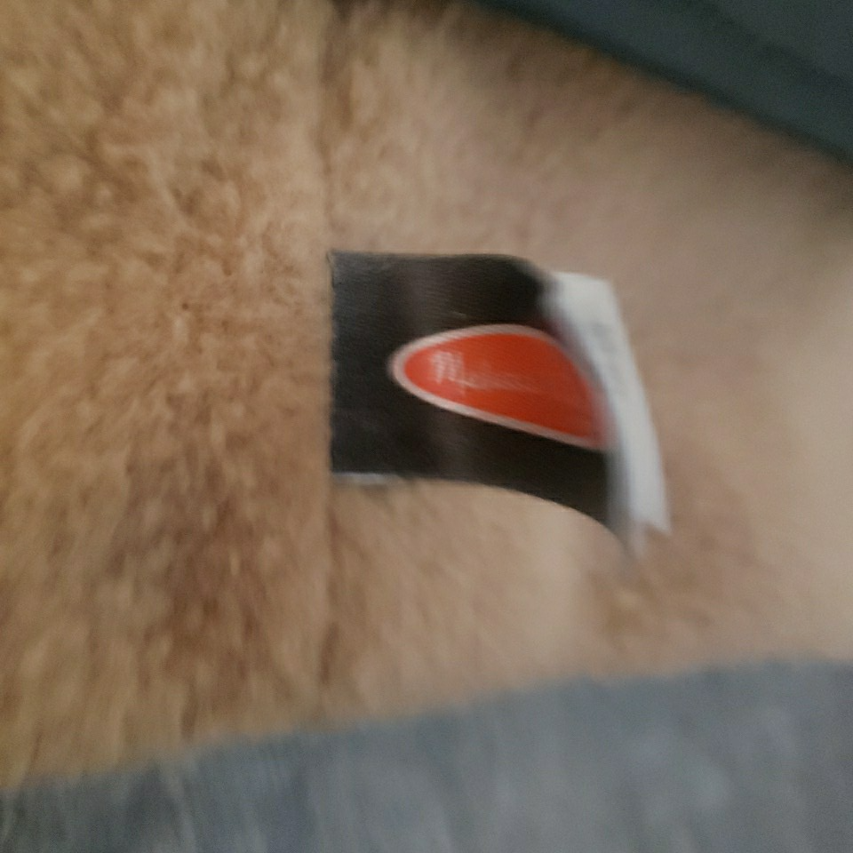 Picture 5 of 5