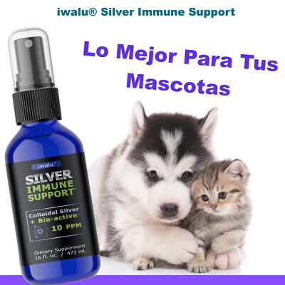 REMEDIOS CASEROS PARA VÓMITOS Y MALESTAR ESTOMACAL EN PERROS - Cura Calma RÁPIDO