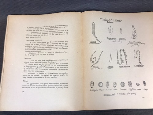 Packung 2 Alte Bücher Sur Le Hund Zucht Die Krankheiten Von 1937 Und 1951 - Bild 7 von 10