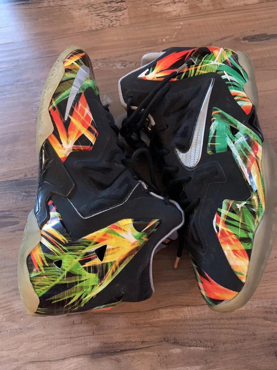 Lebron shoes 2014 sales