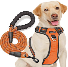 tobeDRI No Pull Dog Harness, Orange, Medium, Adjustable, Oxford, 5ft Dog Leash