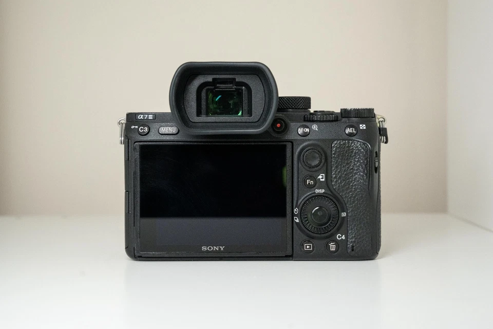 Sony Alpha 7 III, photo 4 of 5