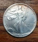 1991 American Silver Eagle BU Toned Walking Liberty Coin 1oz .999 Fine Silver