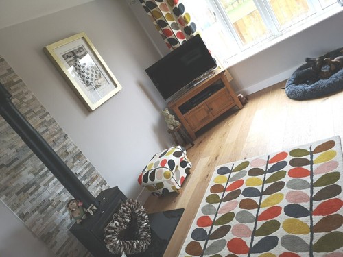 Emma J Shipley Orla Kiely Fabric Storage Footstool Pouffe Footstall Extinct Blue - Picture 46 of 148