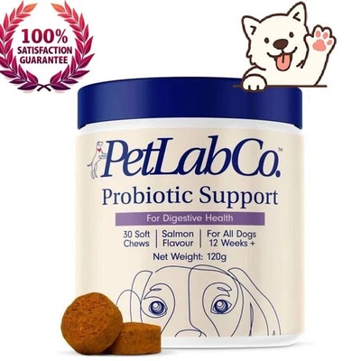 PetLab Co. Probiotics for Dogs, Support Gut Health, 30 Soft /Chews--uk