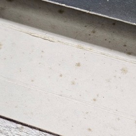 Linus Spacehead's Cosmic Crusade NES Game Box Only Original Camerica