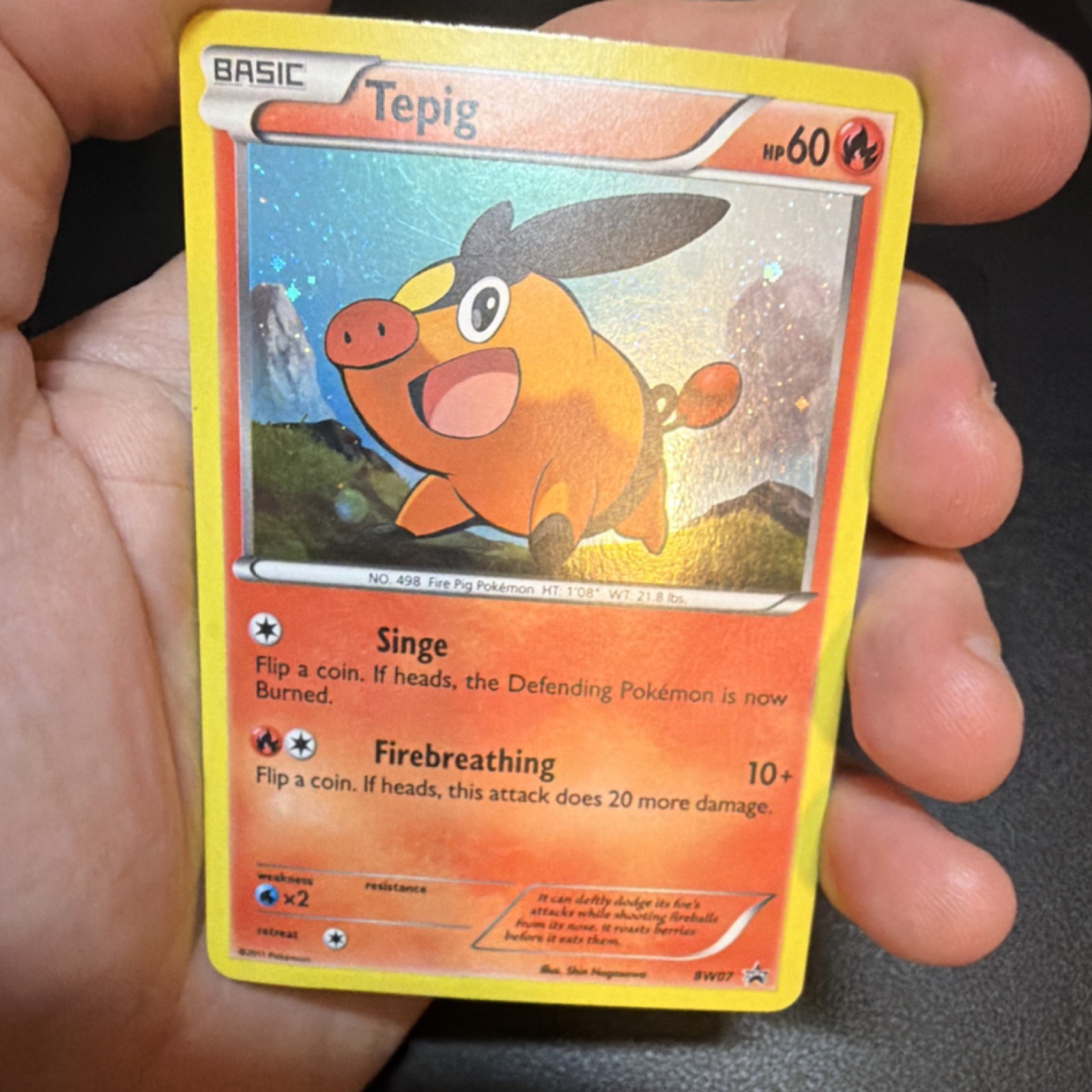 Pokémon Tepig BW Black Star Promo Holo Card Fire Type BW07 Nintendo English