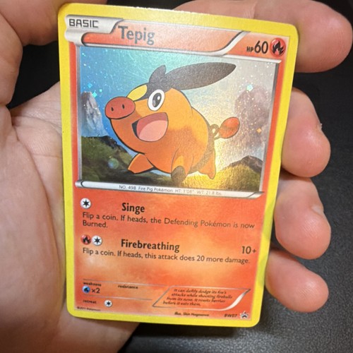 Pokémon Tepig BW Black Star Promo Holo Card Fire Type BW07 Nintendo English