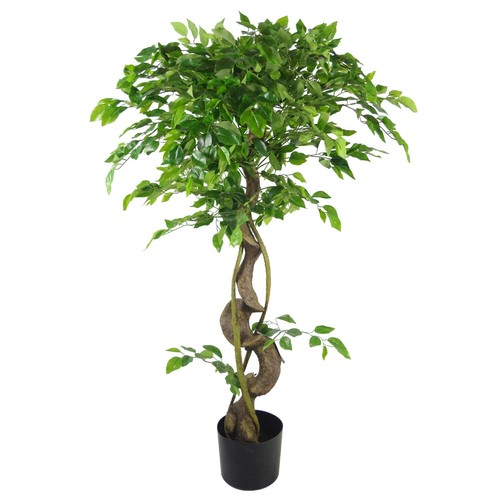 GRANDES Palmeras Artificiales, Plantas Ficus, Bambú Tropical Yukka ULTRA REALISTA - Imagen 79 de 187