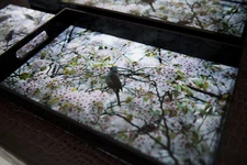 Acrylic Tray - Cherry Blossoms