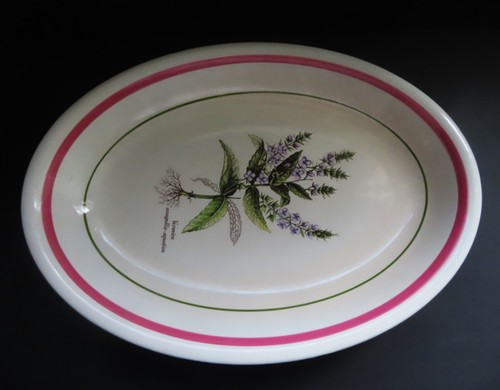 Primula Oval 16" Botanical Platter - Veronica Annagallies Aquatica - Mint - Picture 8 of 8