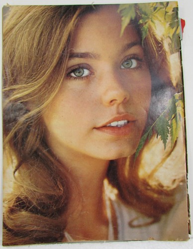 Tiger Beat's Official PARTRIDGE FAMILY Magazine DAVID CASSIDY Feb 1972 SUSAN DEY - Picture 3 of 17