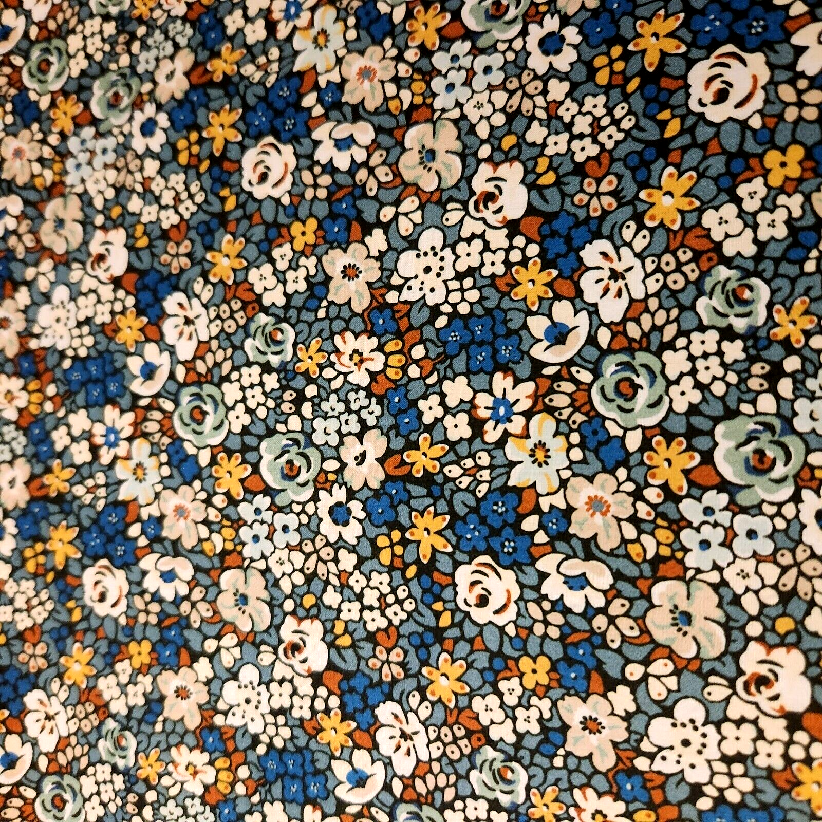 Foto 2 di 3