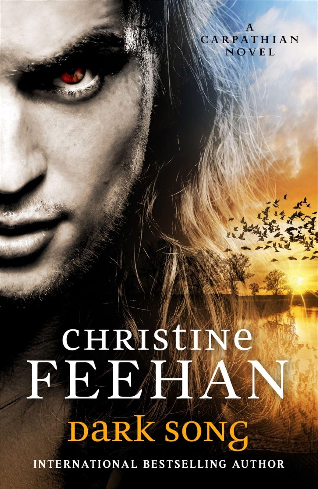 Thumbnail - Christine Feehan | Dark Song | Taschenbuch | Englisch (2020) | Knv