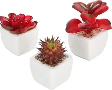 Red Artificial Succulent Plants in White Ceramic Pots, Plant Container, Set of 3