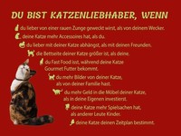 Holzschild 30X40 Cm Du Bist Katzenliebhaber Wenn Deko Geschenk Metall Schild