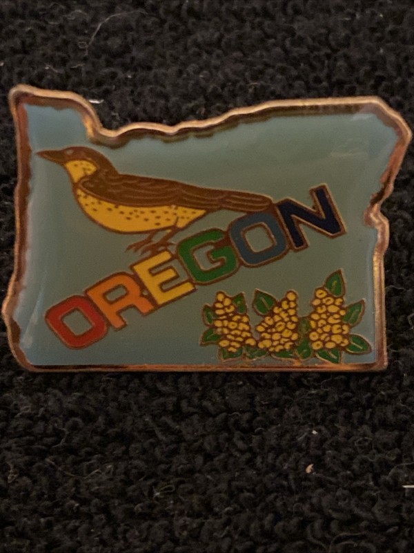 Oregon State Souvenir Pin