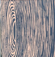 Voice of the Seven Woods Seventh Step CDr UK Not On Label 2007 Limited edition