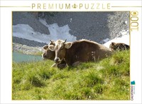 Calvendo Puzzle Tyrolean Brown Cattle Grazing On The Alpine Pasture | 1000 Piece