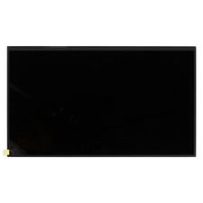 15.6 inch COG-PVLSZT174-01 LCD Display Screen