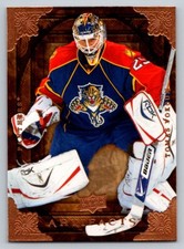 2008-09 Upper Deck Artifacts #55 Tomas Vokoun
