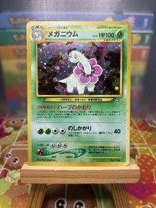 Japanese Meganium | eBay