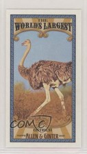 2021 Topps Allen & Ginter's Mini World's Largest Ostrich #MWL-21 5n0