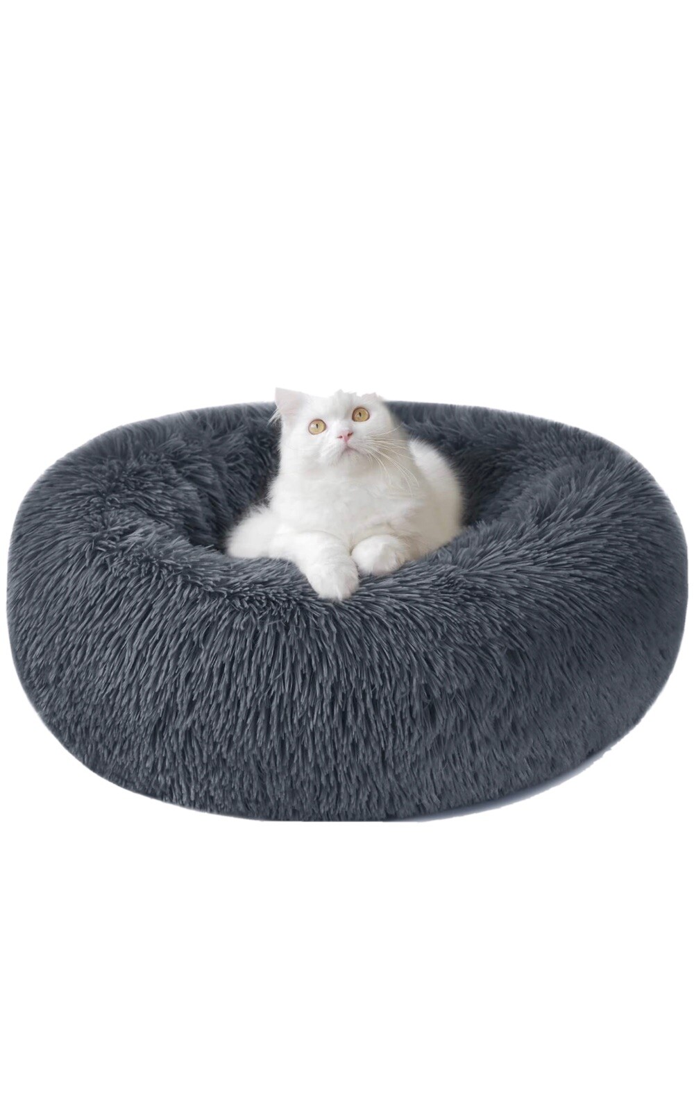 Letto Cane Tessuto Soft-Touch | Design Ergonomico e Lavabile