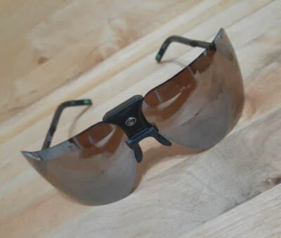 GARGOYLES CLASSIC's ARNOLD TERMINATOR brown lenses / black frames
