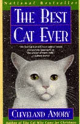 The Best Cat Ever, Amory, Cleveland
