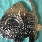 Disney Pluto Single Pin Disneyland Paris Exclusive 2018 — photo 4