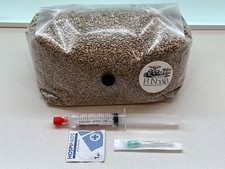 Kit di Coltivazione Micologica Premium - Bag XL Segale Bio e Coltura Liquida
