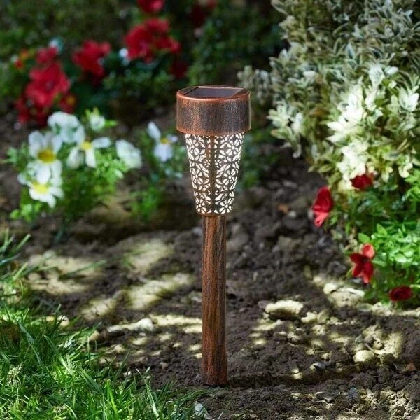 Silhouette 2024 landscape lights