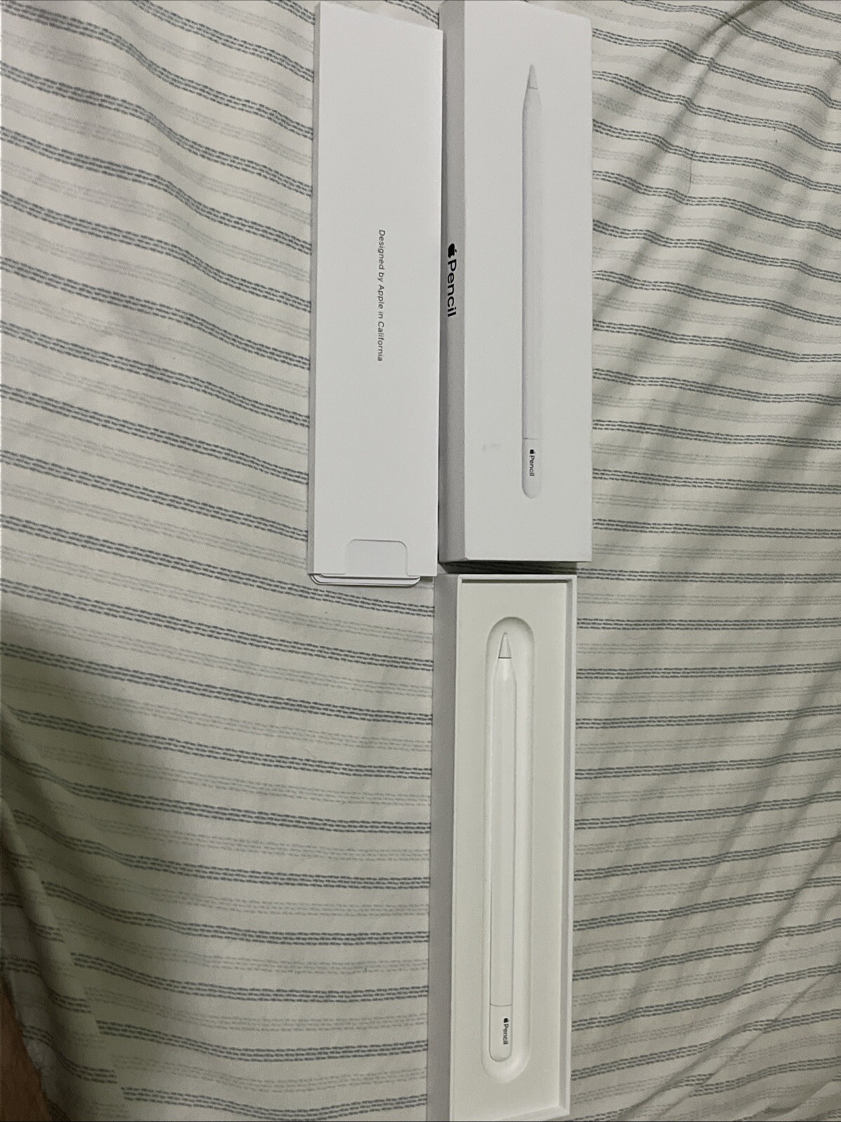 美品】 純正Apple Pencil （USB-C） 【公式通販】