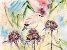 Goldfinch Bird Thistle Watercolor Original Painting Bird Lover Wall Art