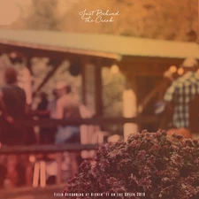 Various - Just Behind the Creek: Field Recording at Kickin' It on the Creek 2019