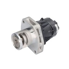 AGR Ventil PIERBURG 7.24809.80.0