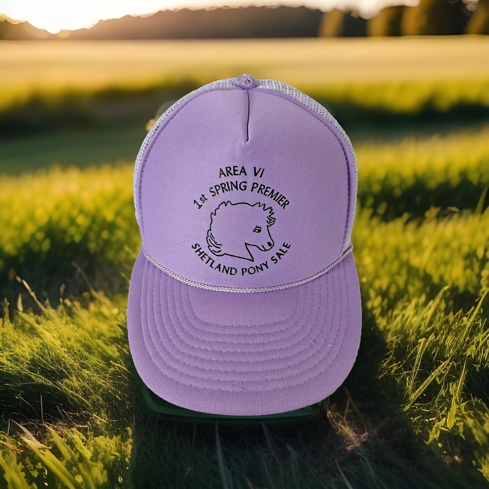 Cappello regolabile posteriore in rete viola Shetland Pony Area VI 1a primavera Premier viola