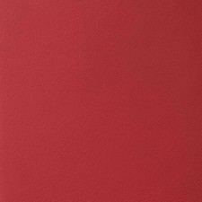 Morceau de cuir SWEET 2 -