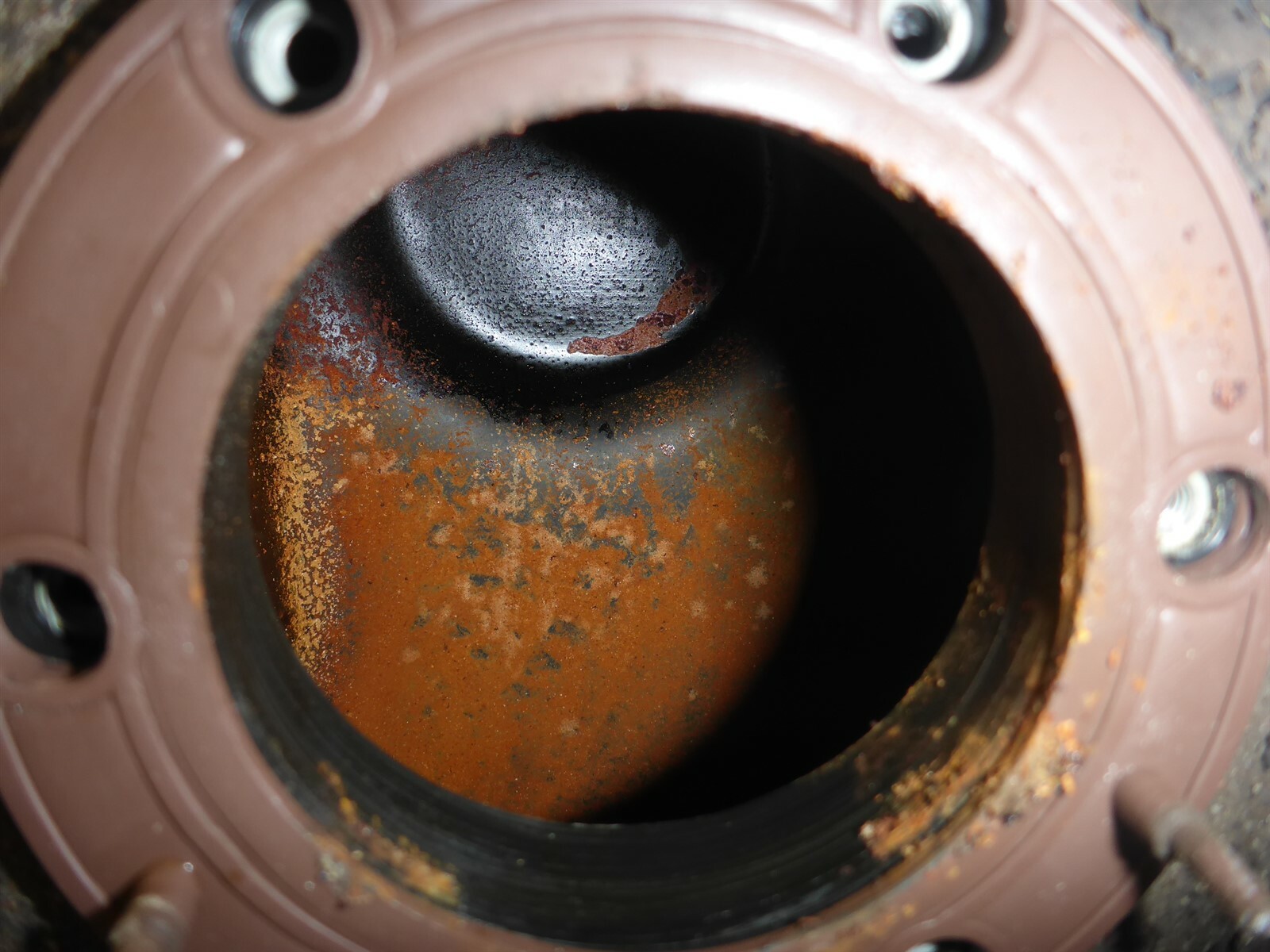 14 Kymco Compagno 50 Scooter Gas Tank Fuel Petrol Reservoir eBay