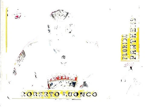 O-Pee-Chee Roberto Luongo Ice Hockey Sports Trading Cards