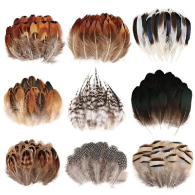  270pcs Small Pheasant Feathers 9 Style Mixed Feathers Natural Feathers for 