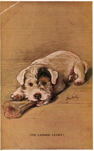 Puppy with Bone I'VE LANDED LUCKY! signed MAC Vintage 1936 Postcard